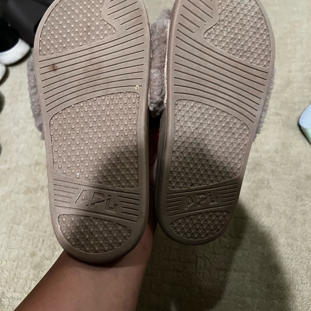 Apl Slides - image 3